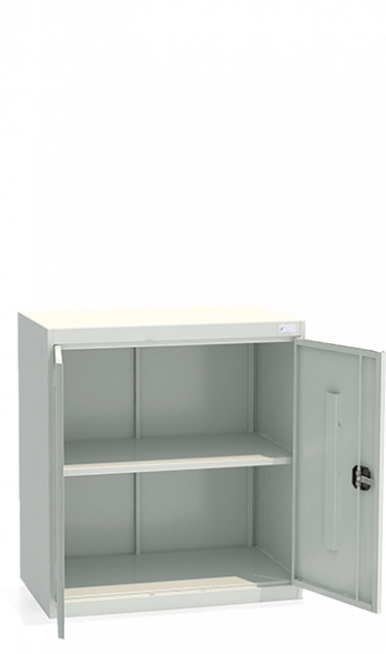 Шкаф архивный ШХА/2-850(50)