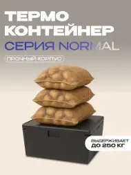 Термоконтейнер TERMOBOX Бытовой Normal, 109 л, 800х600х390 мм, 40кг/м3