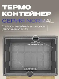 Термоконтейнер TERMOBOX Бытовой Normal, 131 л, 800х600х450 мм, 40кг/м3